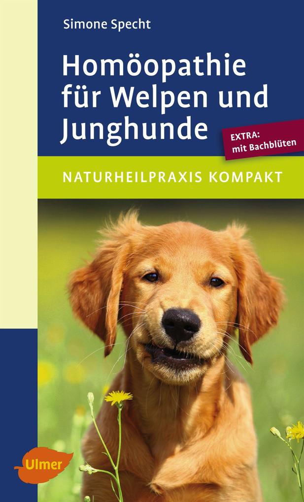 Produktbild: Homöopathie für Welpen und Junghunde | Simone Specht