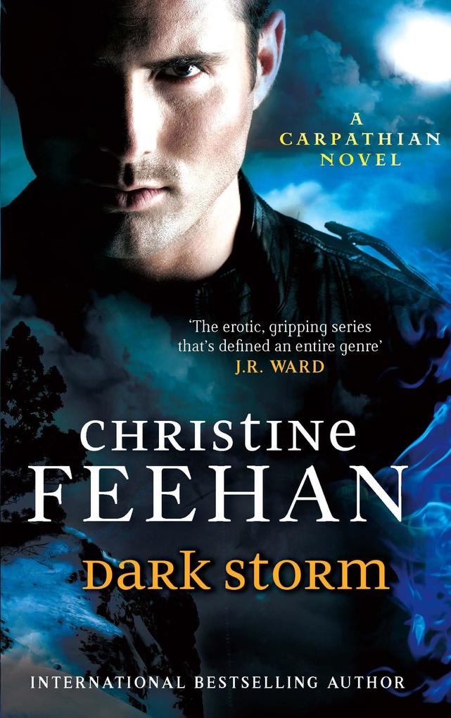Produktbild: Dark Storm | Christine Feehan