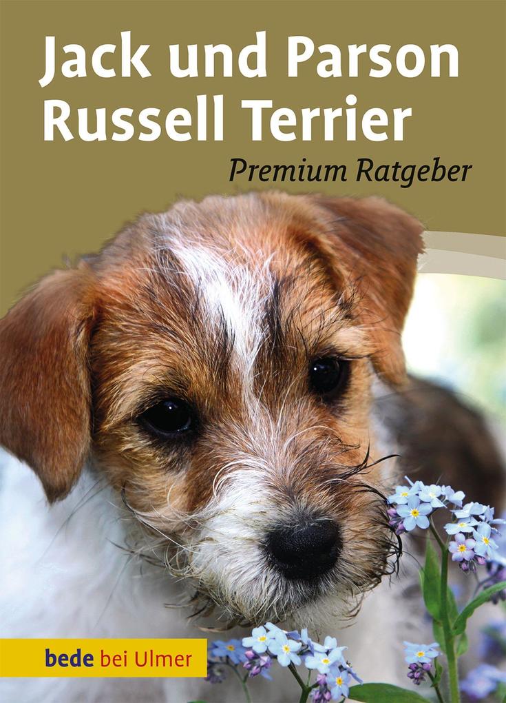 Produktbild: Jack und Parson Russell Terrier | Annette Schmitt