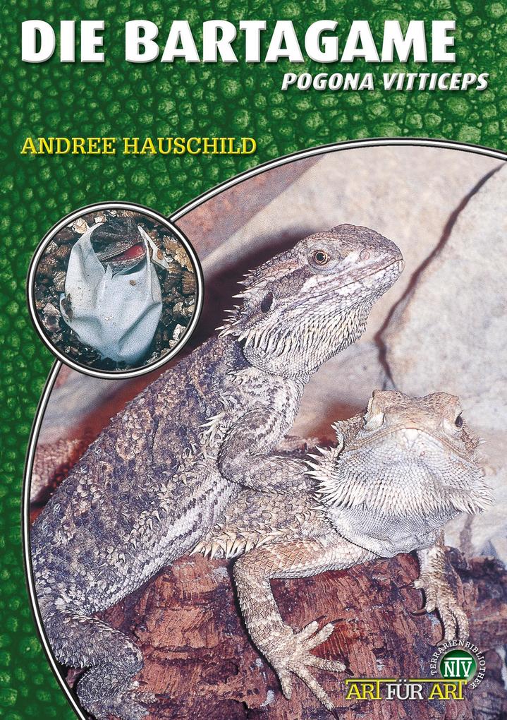Produktbild: Die Bartagame | Andree Hauschild