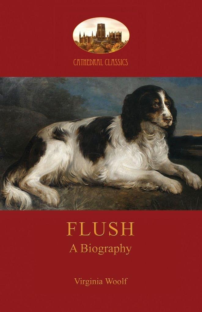 Produktbild: Flush | Virginia Woolf