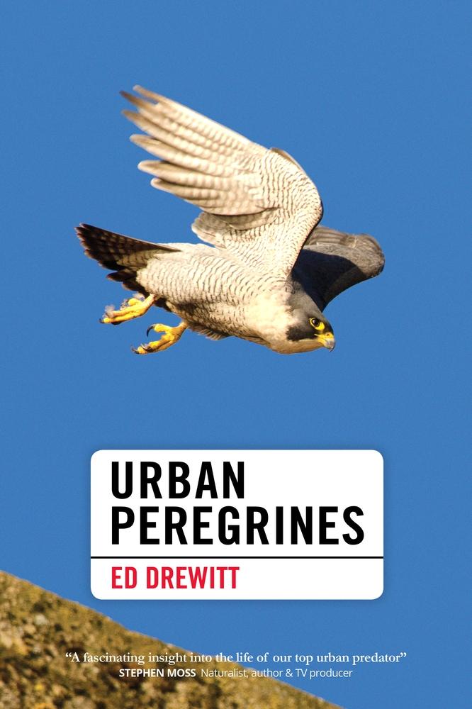 Produktbild: Urban Peregrines | Ed Drewitt