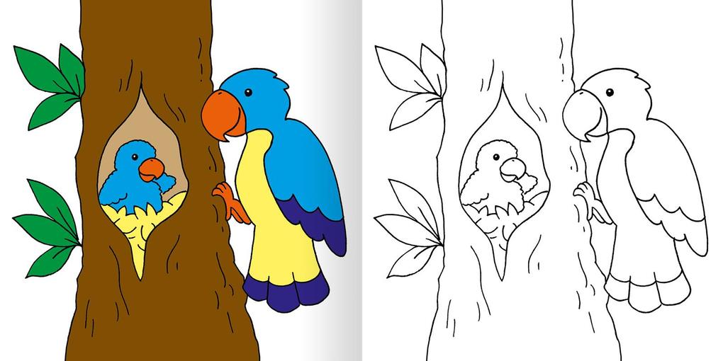 Weitere Ansicht: Mein erstes dickes Malbuch ab 2 - Bunte Tierwelt