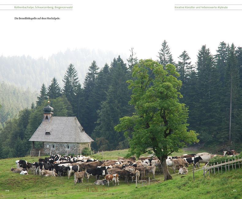 Weitere Ansicht: Vorarlberger Alpgeschichten | Irene Prugger