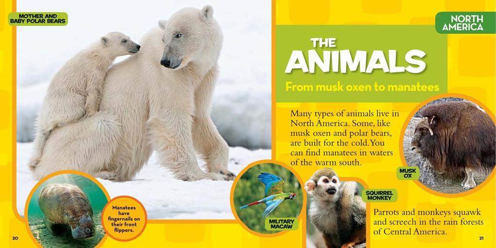 Weitere Ansicht: National Geographic Little Kids First Big Book of the World | Elizabeth Carney, National Geographic Kids
