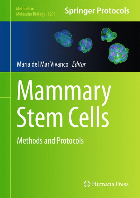 Weitere Ansicht: Mammary Stem Cells