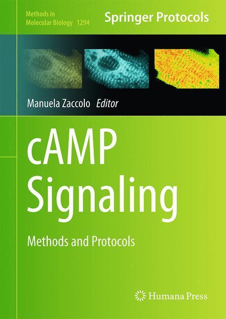 Weitere Ansicht: cAMP Signaling
