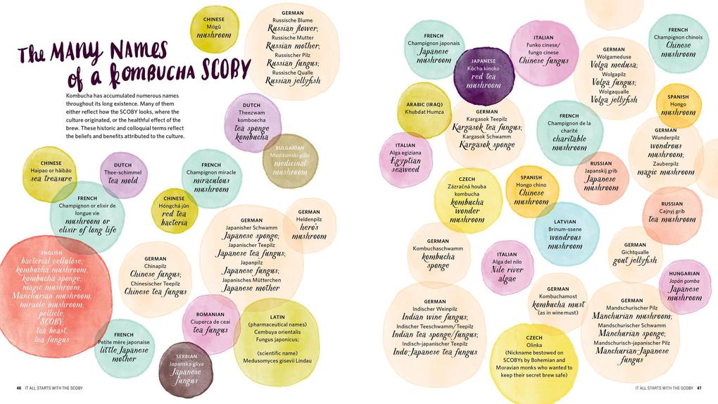 Weitere Ansicht: The Big Book of Kombucha | Hannah Crum, Alex LaGory