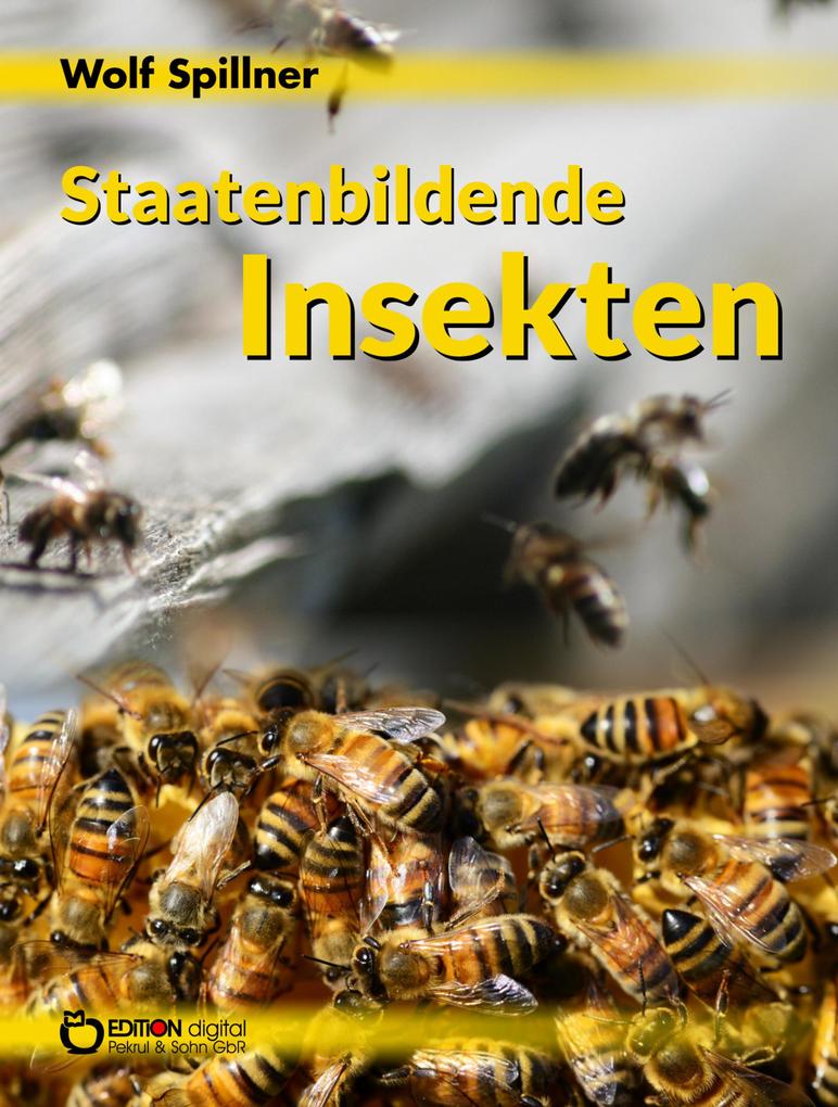 Produktbild: Staatenbildende Insekten | Wolf Spillner