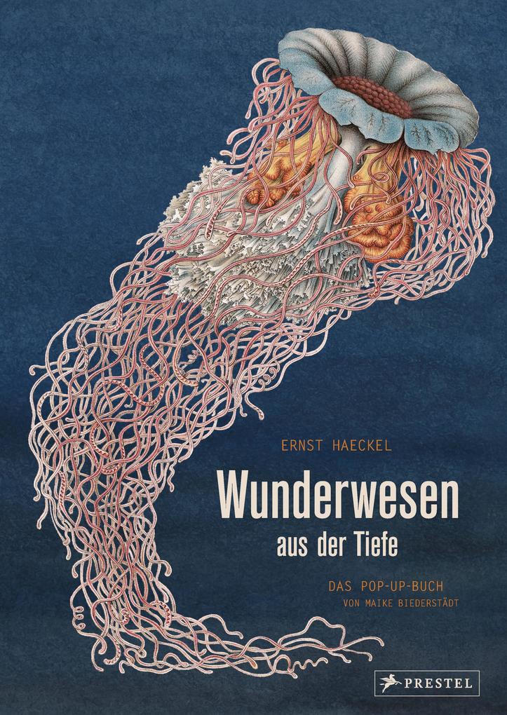 Produktbild: Wunderwesen aus der Tiefe. Ernst Haeckel | Maike Biederstädt, Ernst Haeckel