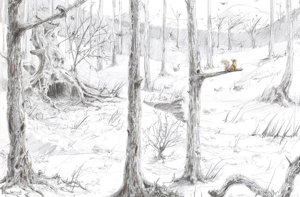 Weitere Ansicht: Herr Eichhorn und der erste Schnee | Sebastian Meschenmoser