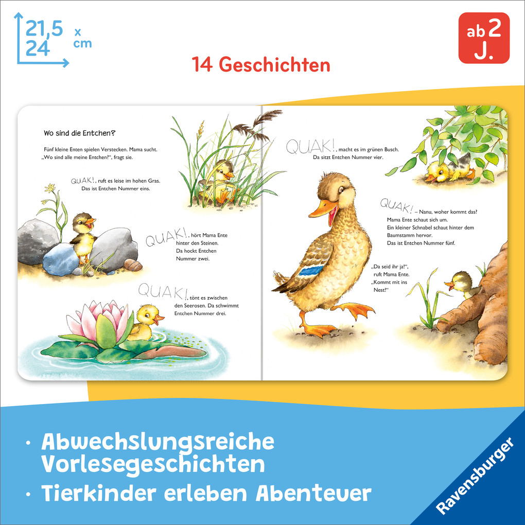 Weitere Ansicht: Meine ersten Tiergeschichten | Sandra Grimm