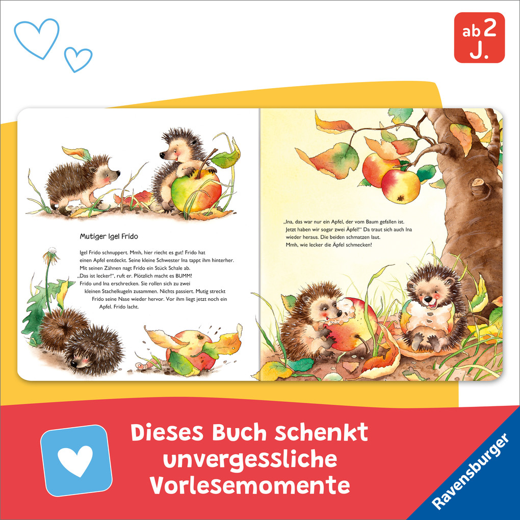 Weitere Ansicht: Meine ersten Tiergeschichten | Sandra Grimm