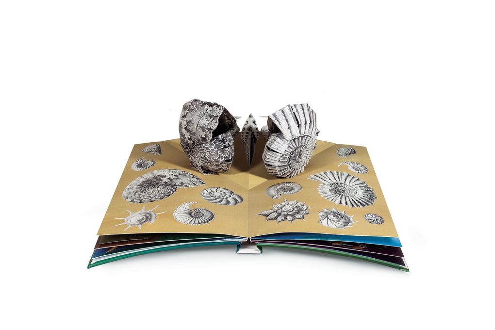 Weitere Ansicht: Wunderwesen aus der Tiefe. Ernst Haeckel | Maike Biederstädt, Ernst Haeckel