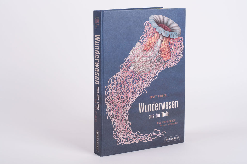 Weitere Ansicht: Wunderwesen aus der Tiefe. Ernst Haeckel | Maike Biederstädt, Ernst Haeckel