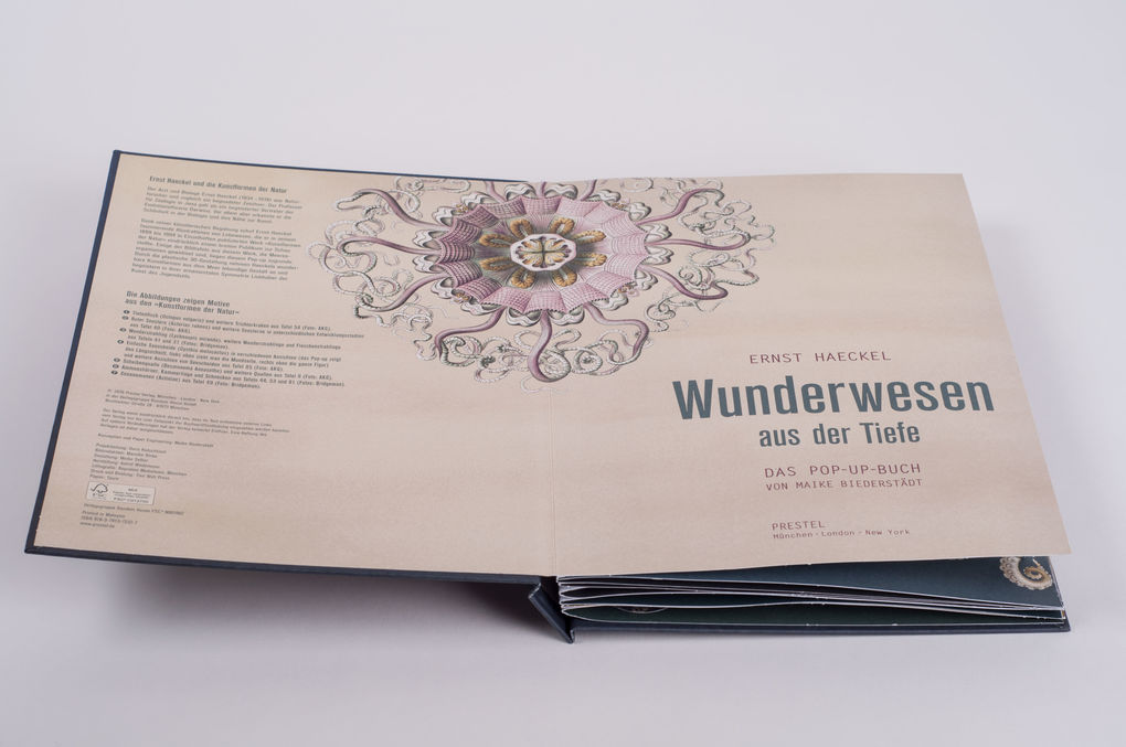 Weitere Ansicht: Wunderwesen aus der Tiefe. Ernst Haeckel | Maike Biederstädt, Ernst Haeckel