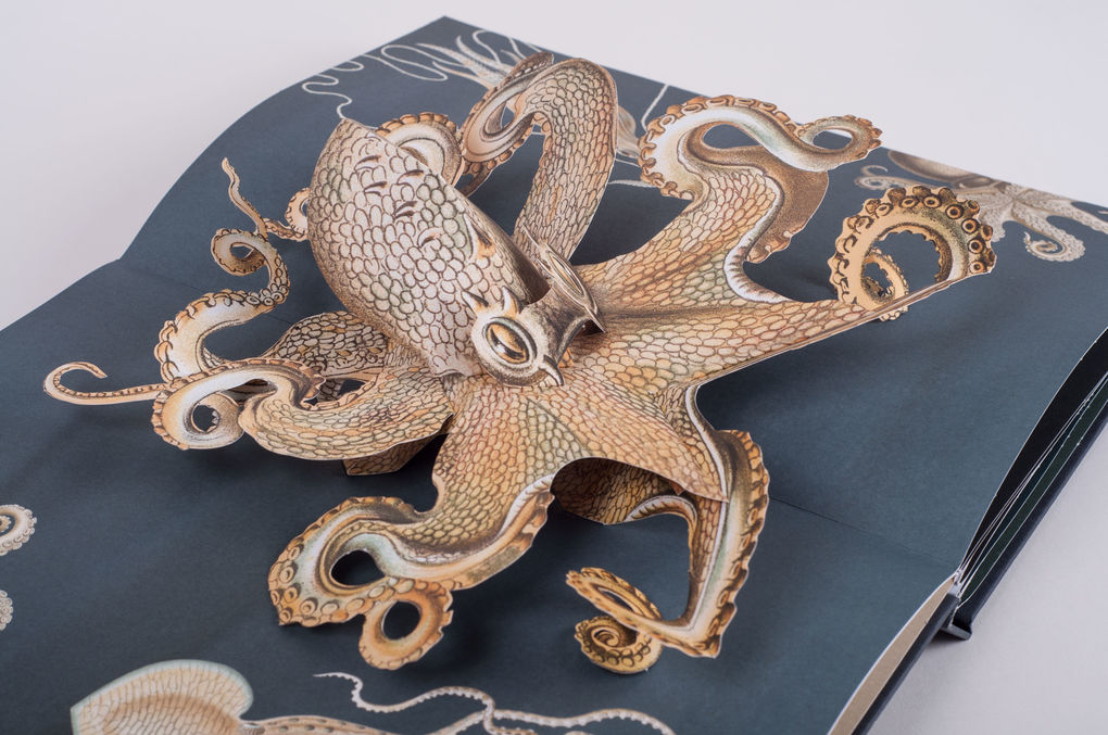 Weitere Ansicht: Wunderwesen aus der Tiefe. Ernst Haeckel | Maike Biederstädt, Ernst Haeckel