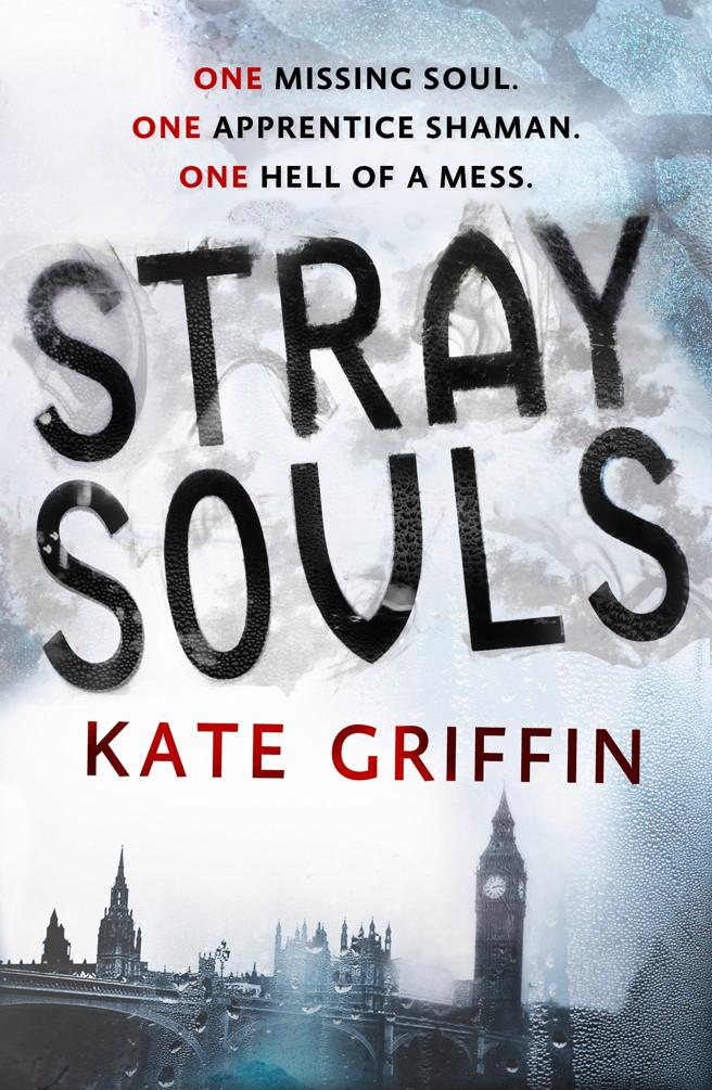 Produktbild: Stray Souls | Kate Griffin