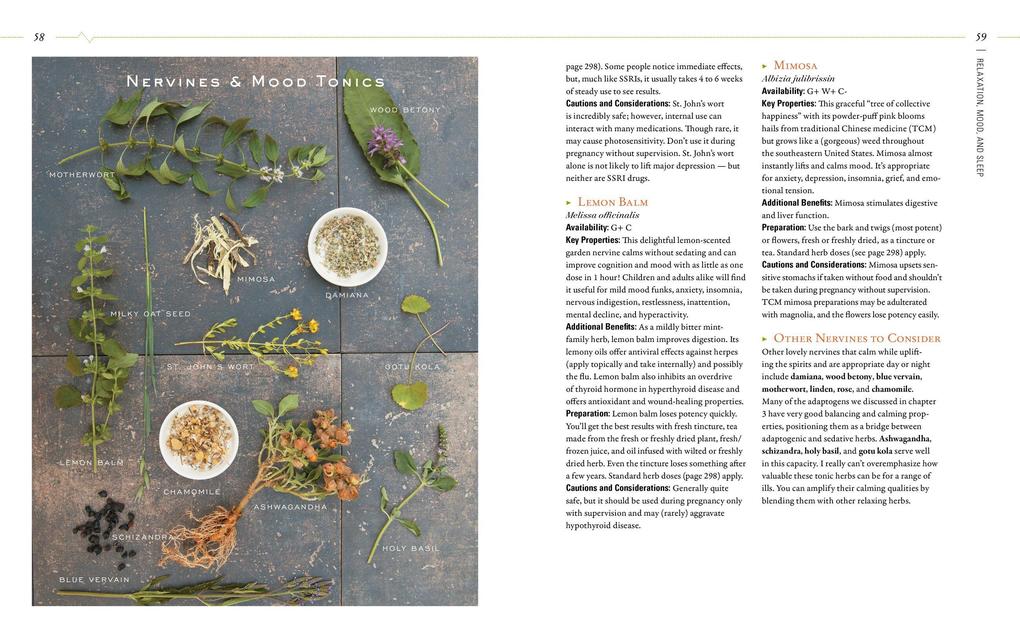 Weitere Ansicht: Body Into Balance | Maria Noel Groves