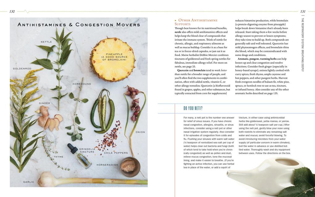 Weitere Ansicht: Body Into Balance | Maria Noel Groves