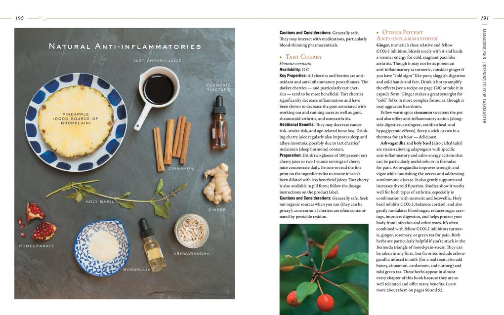 Weitere Ansicht: Body Into Balance | Maria Noel Groves