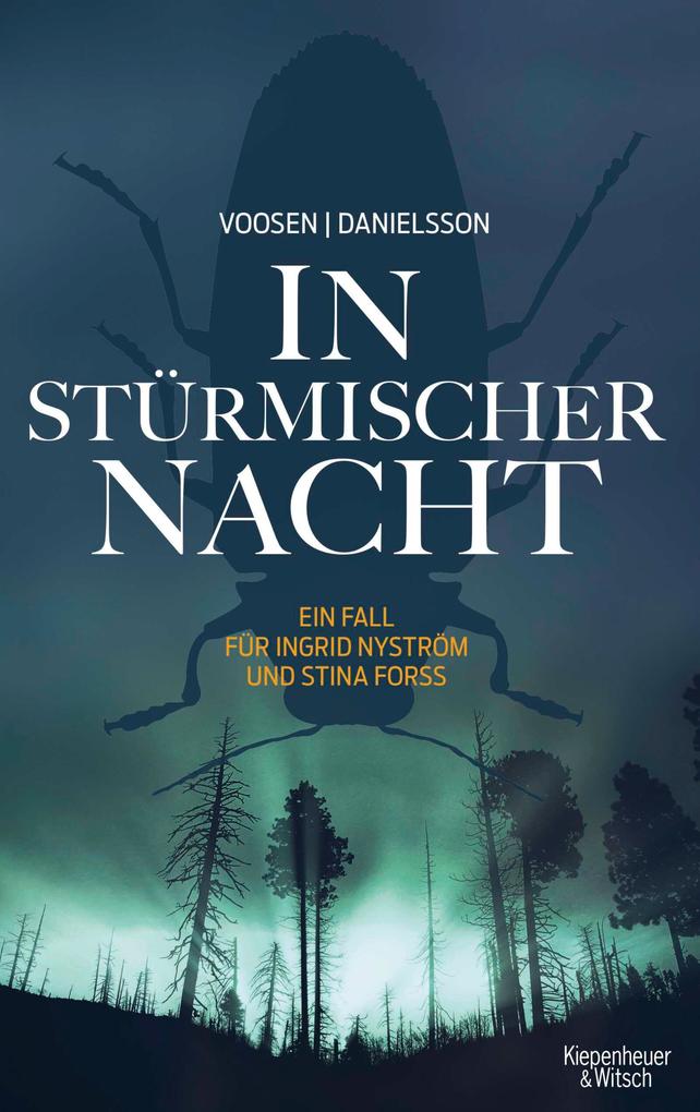 Produktbild: In stürmischer Nacht | Roman Voosen, Kerstin Signe Danielsson