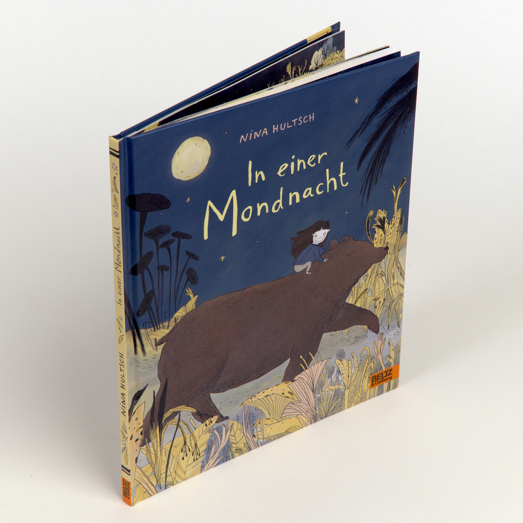 Weitere Ansicht: In einer Mondnacht | Nina Hultsch