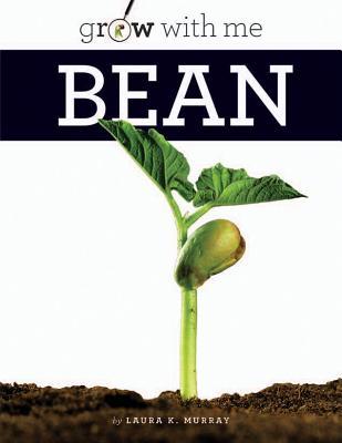 Produktbild: Bean | Laura K. Murray