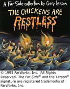 The Chickens Are Restless, 19