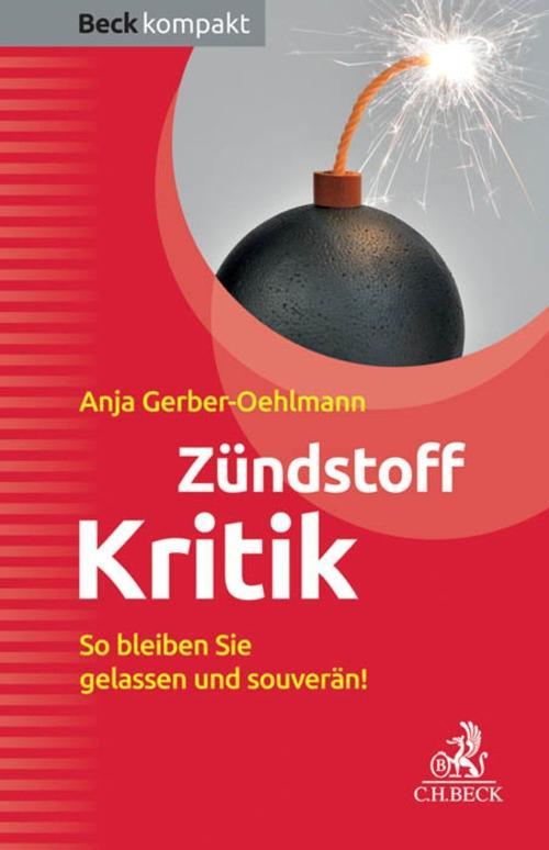 Produktbild: Zündstoff Kritik | Anja Gerber-Oehlmann