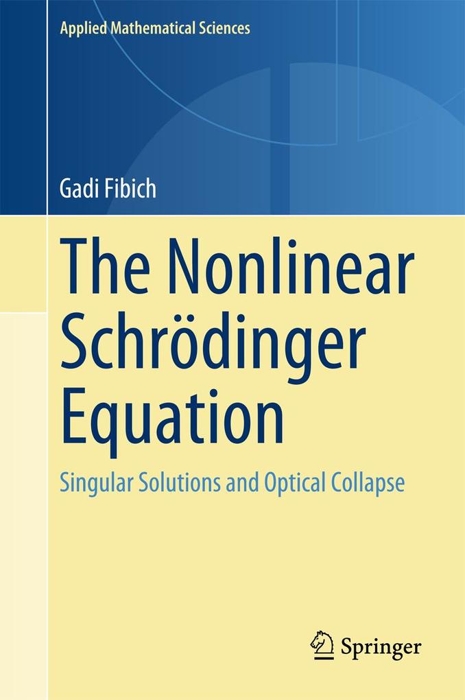 Produktbild: The Nonlinear Schrödinger Equation | Gadi Fibich