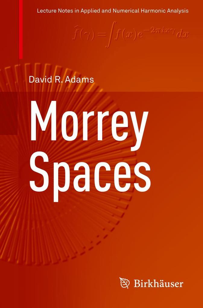 Produktbild: Morrey Spaces | David Adams