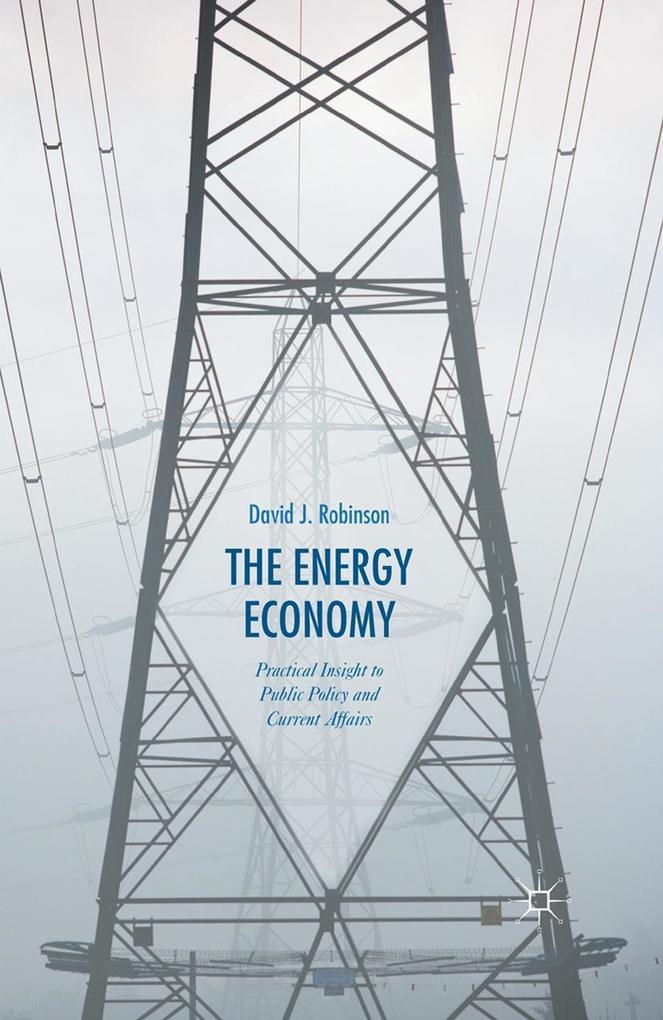 Produktbild: The Energy Economy | David J. Robinson