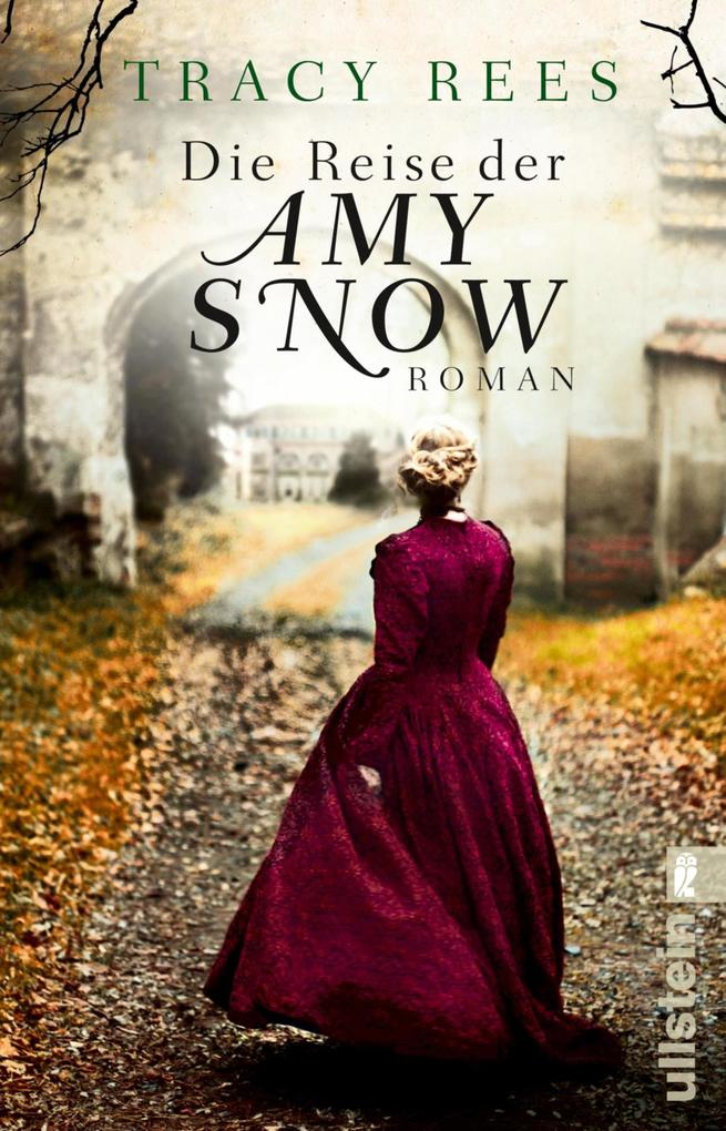 Produktbild: Die Reise der Amy Snow | Tracy Rees