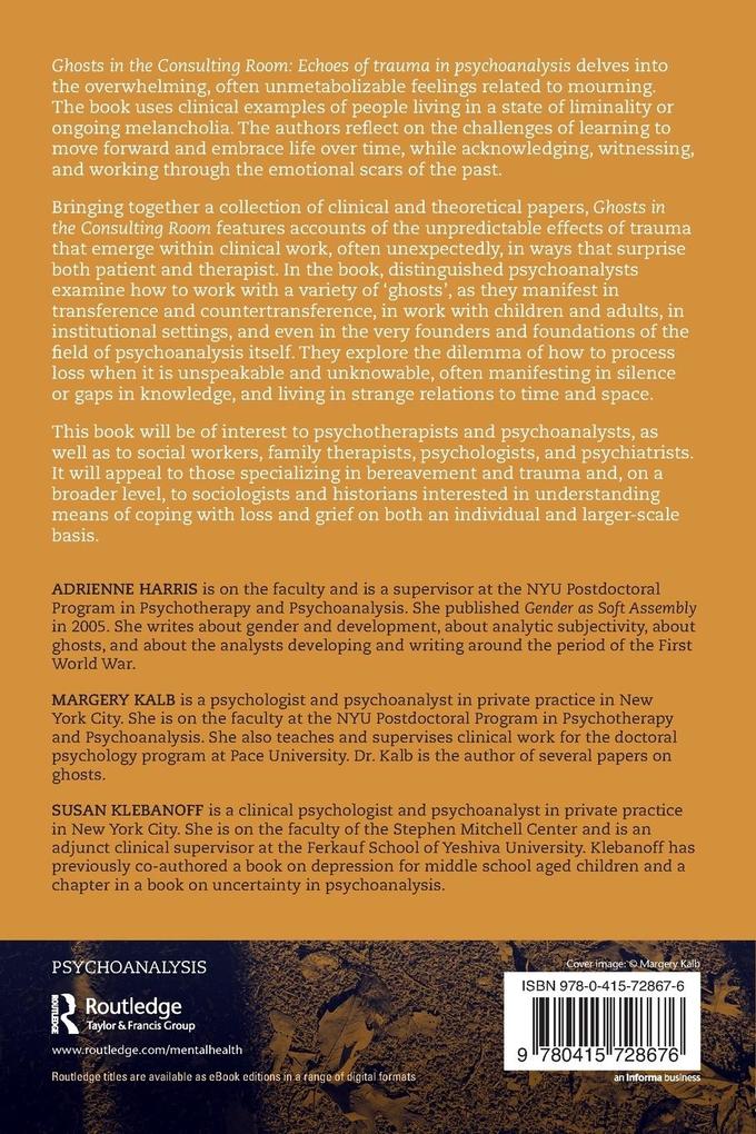 Weitere Ansicht: Ghosts in the Consulting Room