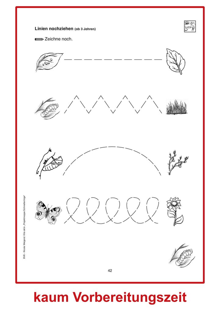 Weitere Ansicht: Kita aktiv Projektmappe Schmetterlinge | Nicole Weigand