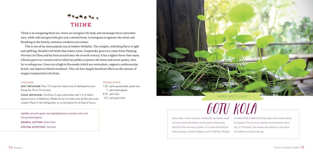 Weitere Ansicht: Healing Herbal Teas | Sarah Farr