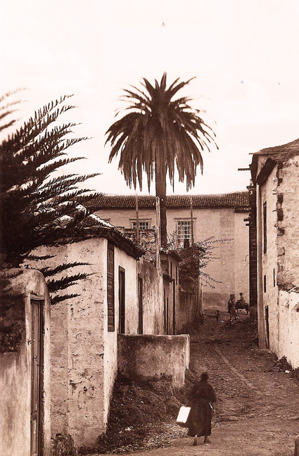 Weitere Ansicht: Ein Zittern entwaffnet mich / Un estremecimiento me desarma | María Gutiérrez