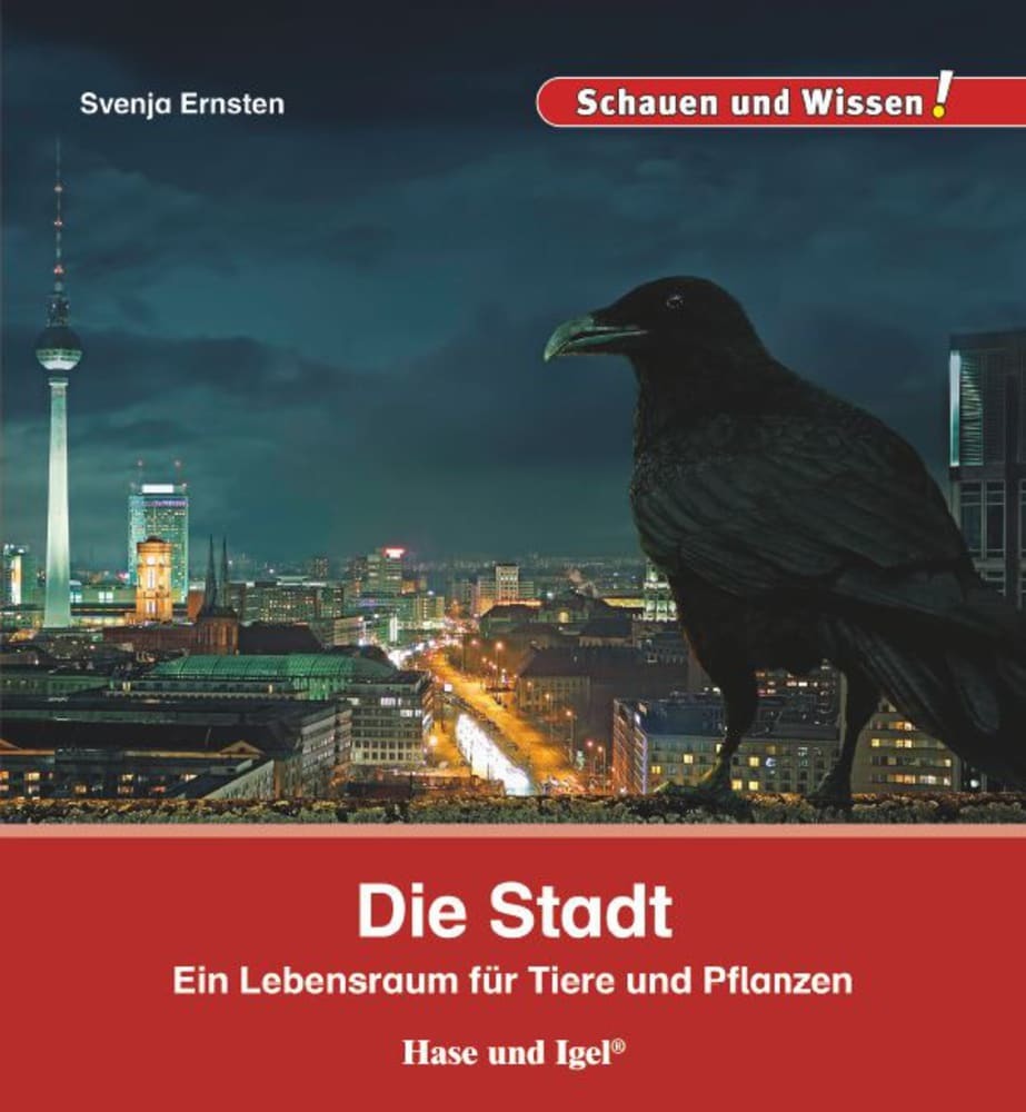 Produktbild: Die Stadt | Svenja Ernsten