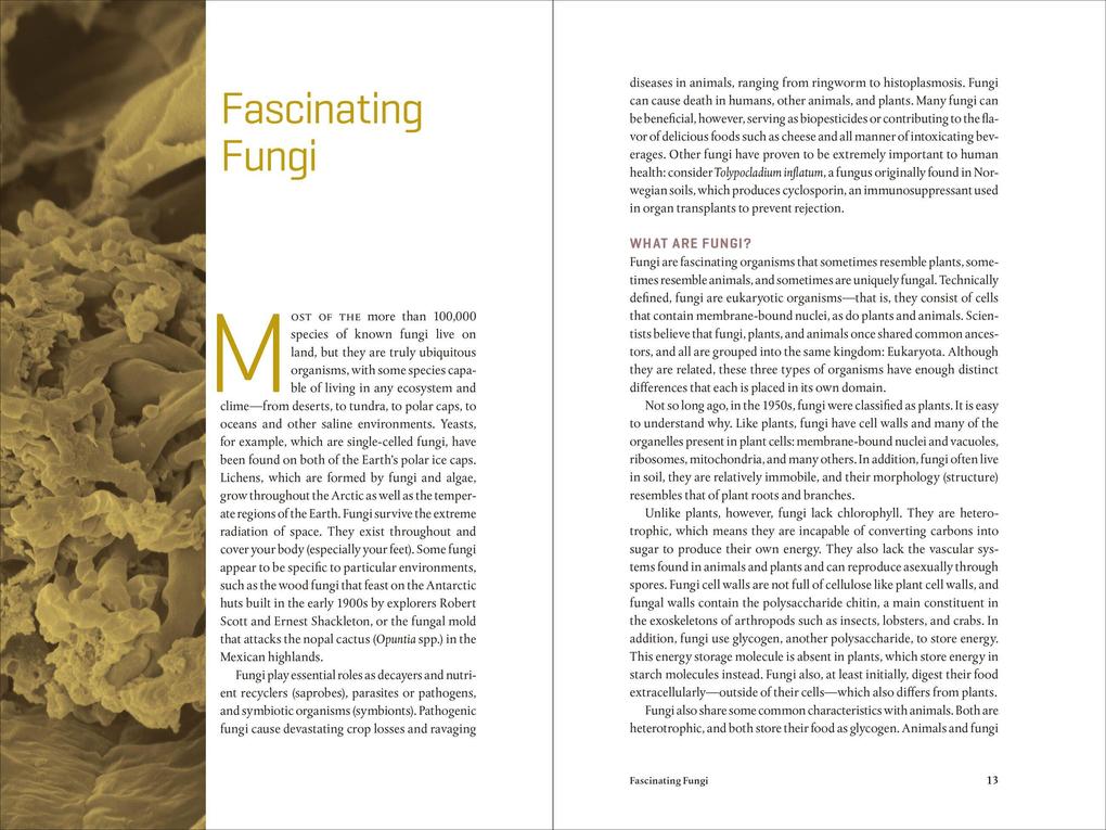 Weitere Ansicht: Teaming with Fungi | Jeff Lowenfels