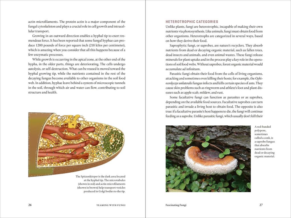 Weitere Ansicht: Teaming with Fungi | Jeff Lowenfels