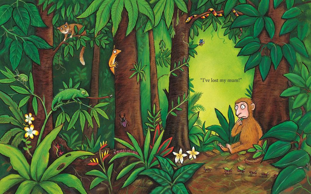 Weitere Ansicht: Monkey Puzzle | Julia Donaldson, Axel Scheffler