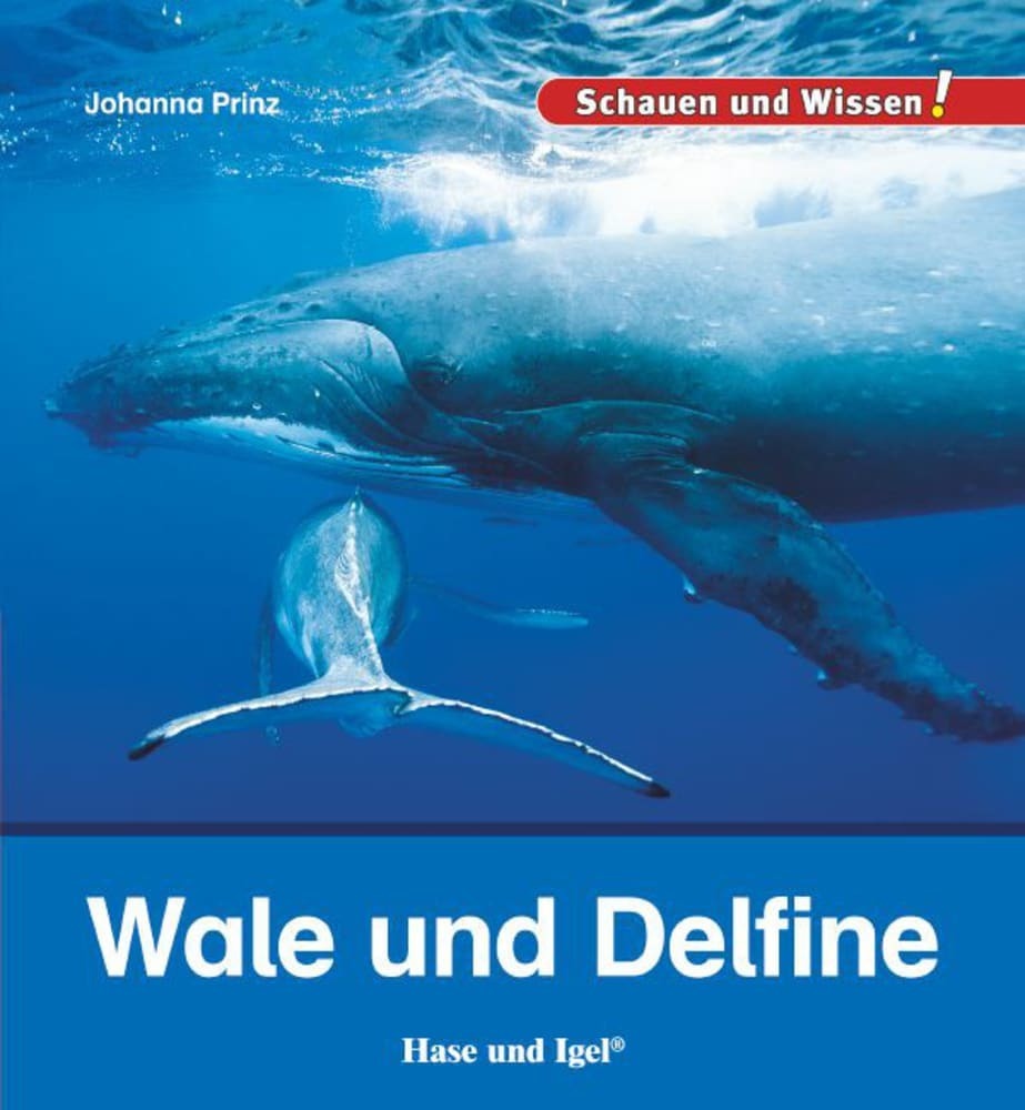 Produktbild: Wale und Delfine | Johanna Prinz