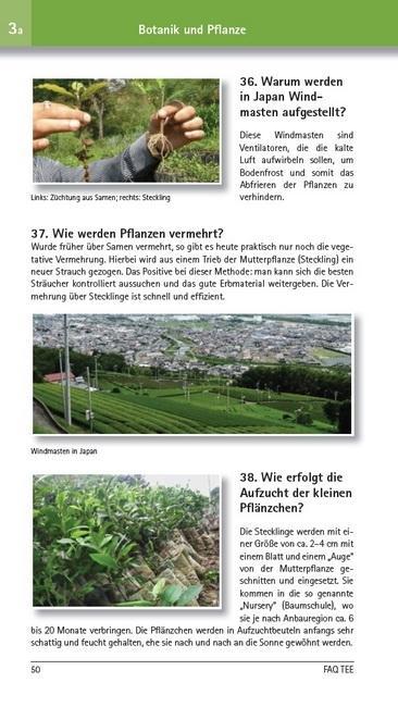 Weitere Ansicht: FAQ TEE | Martin Kienreich, Otto Ratka