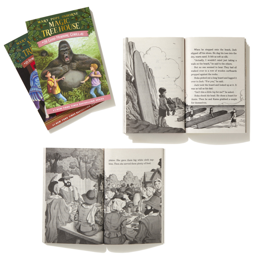 Weitere Ansicht: Magic Tree House Books 25-28 Boxed Set | Mary Pope Osborne