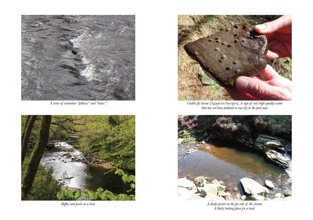 Weitere Ansicht: How to Read Water | Tristan Gooley