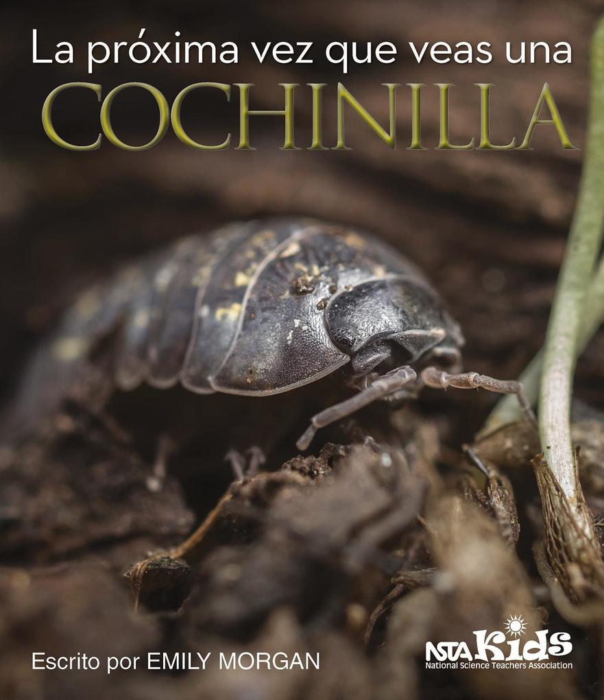 Produktbild: La Próxima Vez Que Veas Una Cochinilla | Emily Morgan