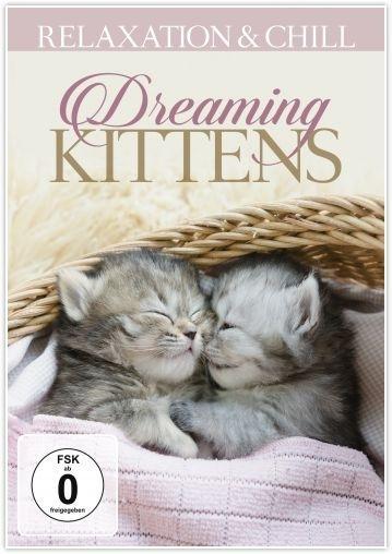Produktbild: Dreaming Kittens | Relaxation & Chill