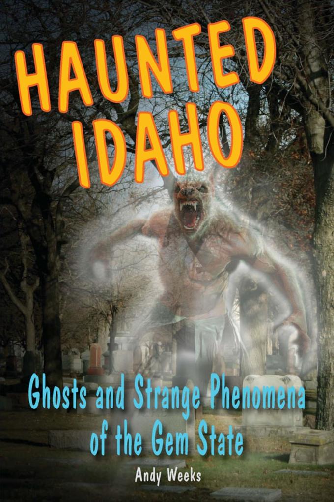 Produktbild: Haunted Idaho | Andy Weeks