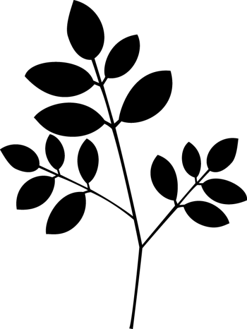 Weitere Ansicht: Stempelset "Natur"